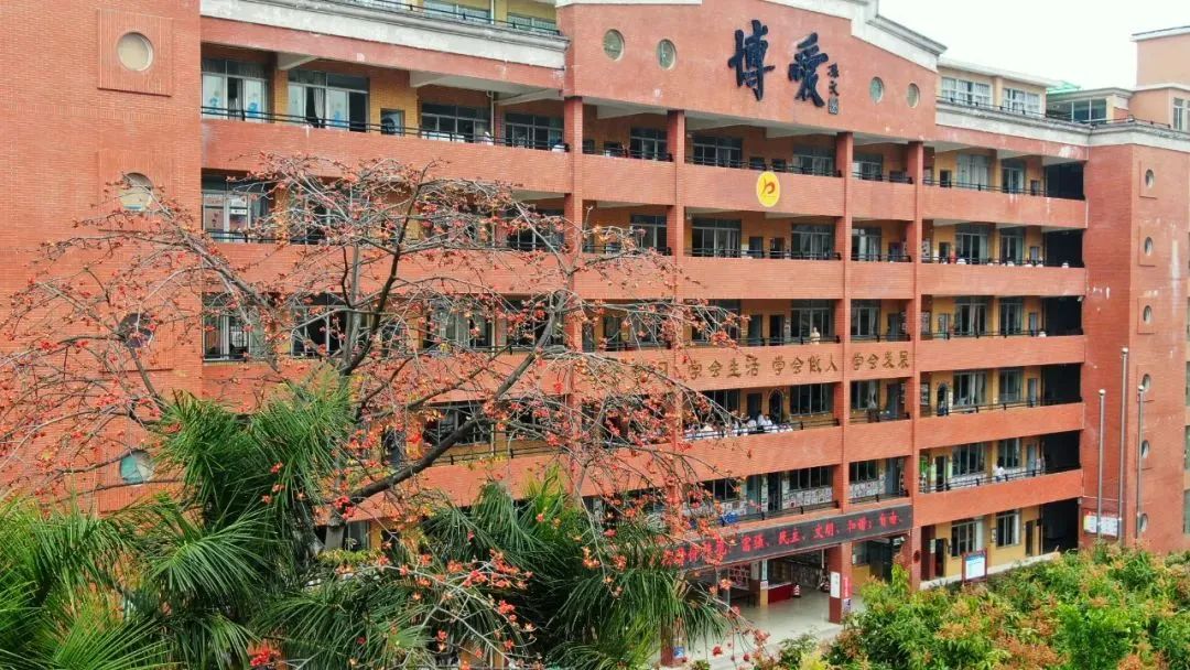 祥聚案例分享|博愛心育，以愛育愛，清遠(yuǎn)市博愛學(xué)校